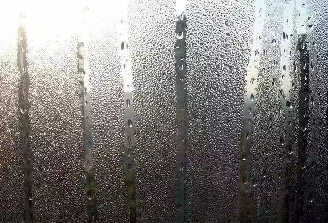 寒露一过气温骤降 为何你们家的门窗总是结露？